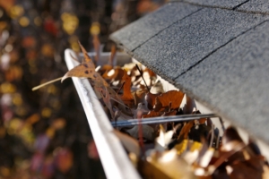 Gutter and Drainage Services A gutter full of fall leaves.